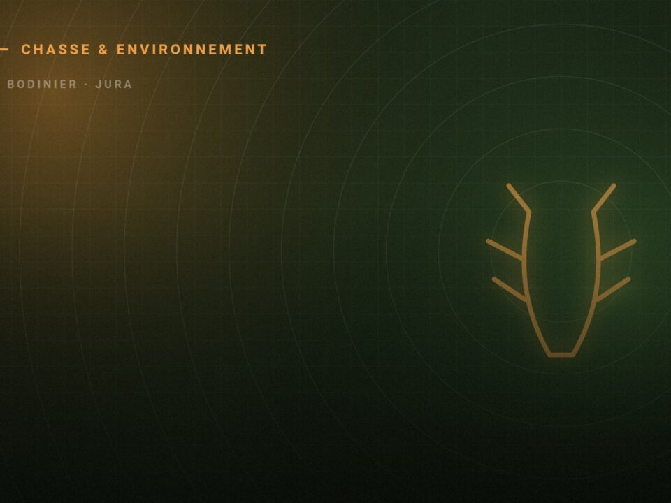 Illustration du corpus Chasse & Environnement — JB Bodinier, Jura